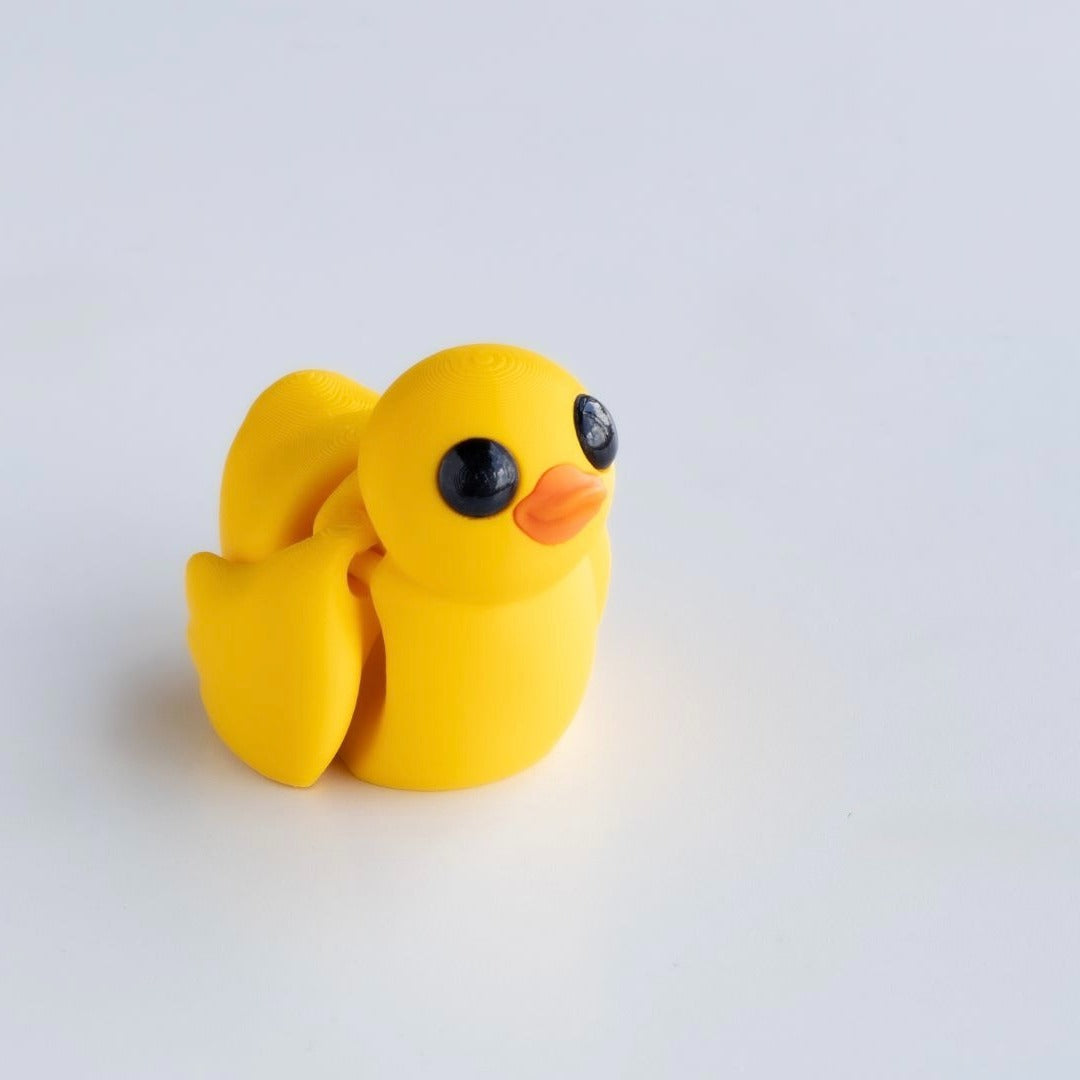 Sunny — The Little Ray of Quackshine