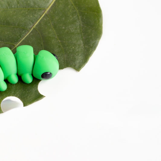 Leafy — The Leaf Explorer