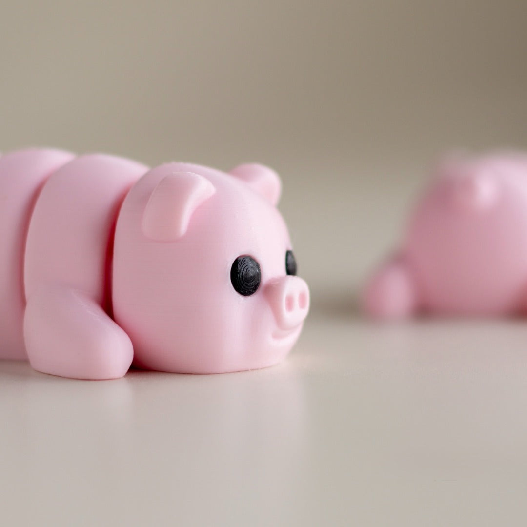 Pinky — The Chubby Piglet