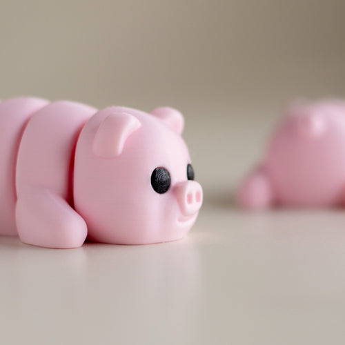 Pinky — The Chubby Piglet
