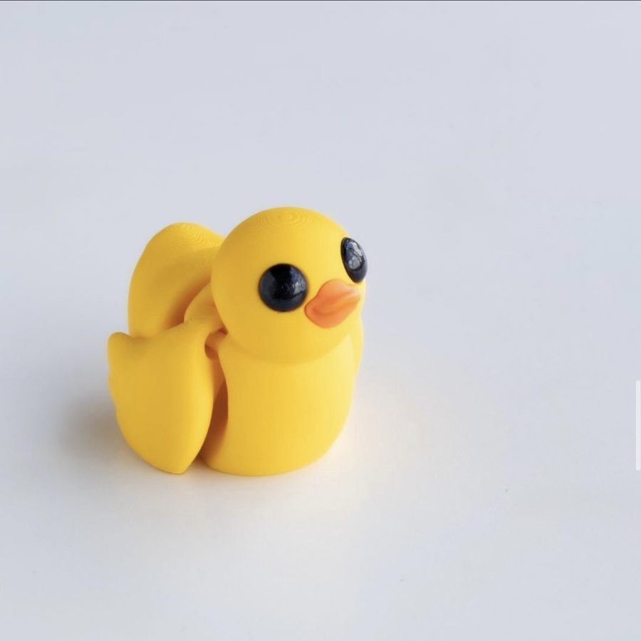 Sunny, The Little Ray of Quackshine